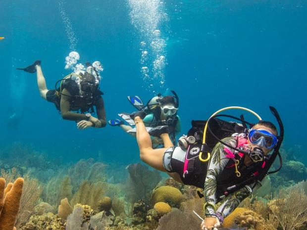 PADI Courses, Conservation, Membership, and Shop